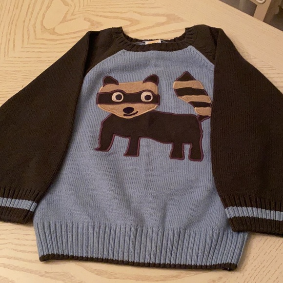 NWT Gymboree boys size2 raccoon sweater & hoodie - Picture 2 of 8